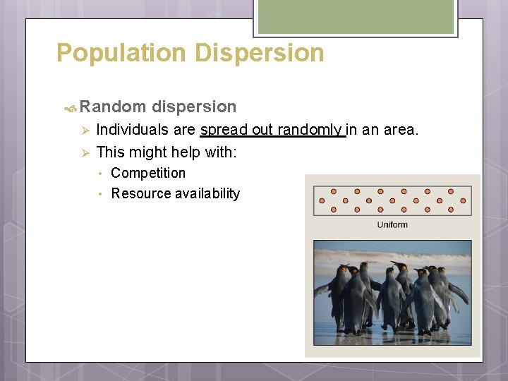 Population Dispersion Random Ø Ø dispersion Individuals are spread out randomly in an area. Population Dispersion Random Ø Ø dispersion Individuals are spread out randomly in an area.