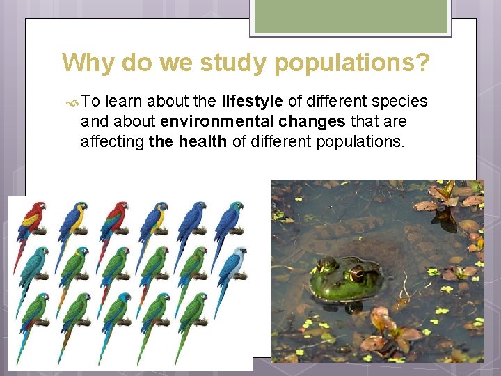 Why do we study populations? To learn about the lifestyle of different species and Why do we study populations? To learn about the lifestyle of different species and