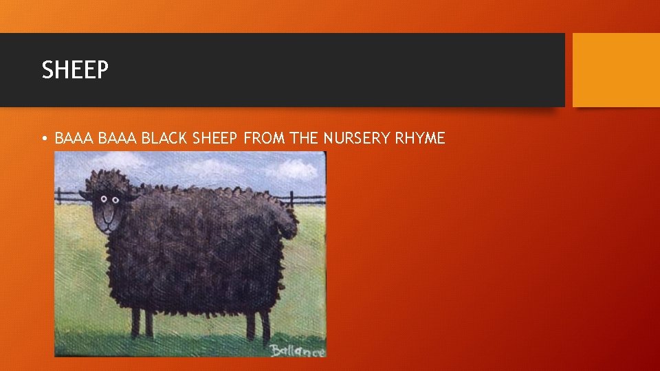 SHEEP • BAAA BLACK SHEEP FROM THE NURSERY RHYME 