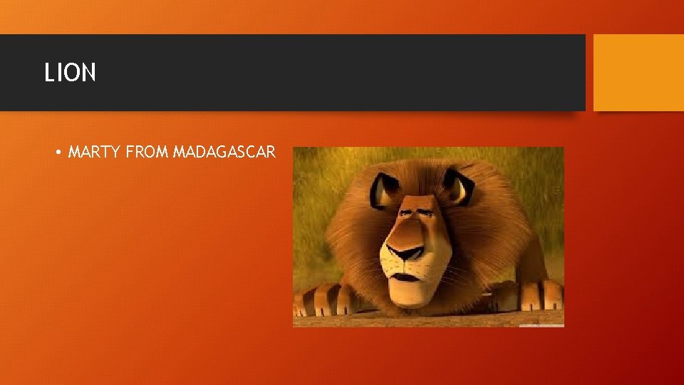 LION • MARTY FROM MADAGASCAR 