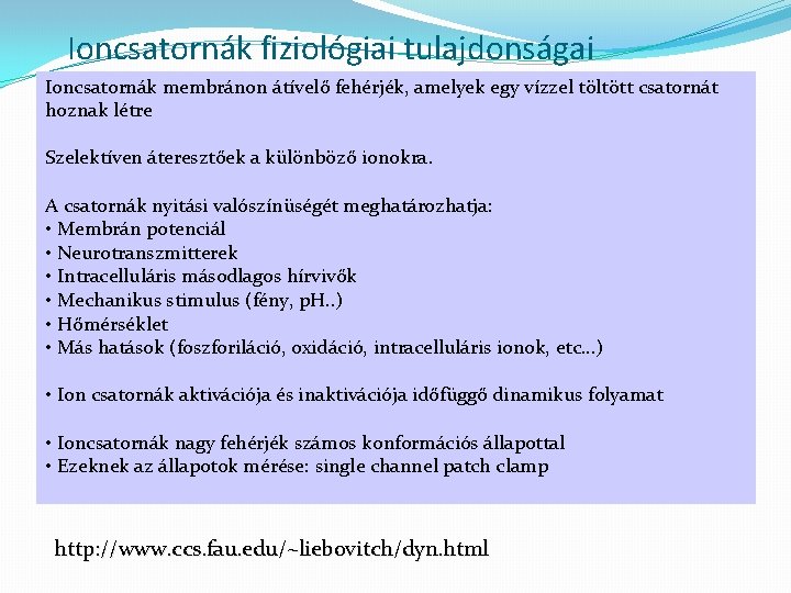 Ioncsatornák fiziológiai tulajdonságai Ioncsatornák membránon átívelő fehérjék, amelyek egy vízzel töltött csatornát hoznak létre