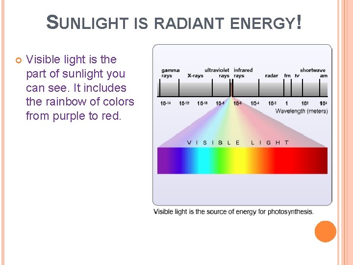 SUNLIGHT IS RADIANT ENERGY! Visible light is the part of sunlight you can see.