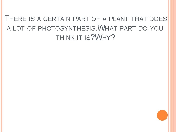 THERE IS A CERTAIN PART OF A PLANT THAT DOES A LOT OF PHOTOSYNTHESIS.