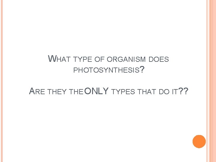 WHAT TYPE OF ORGANISM DOES PHOTOSYNTHESIS? ARE THEY THE ONLY TYPES THAT DO IT?