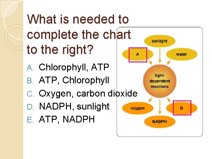 What is needed to complete the chart to the right? A. B. C. D.