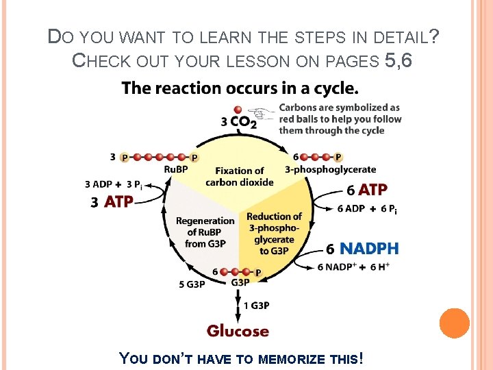 DO YOU WANT TO LEARN THE STEPS IN DETAIL? CHECK OUT YOUR LESSON ON