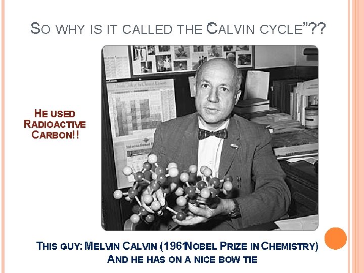 SO WHY IS IT CALLED THE C “ ALVIN CYCLE”? ? HE USED RADIOACTIVE
