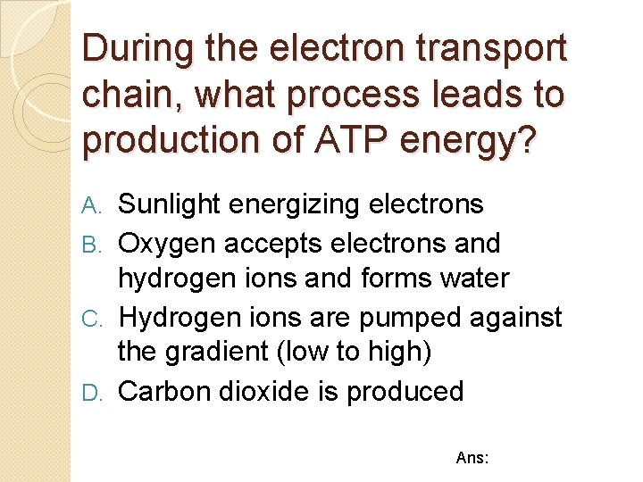 During the electron transport chain, what process leads to production of ATP energy? Sunlight