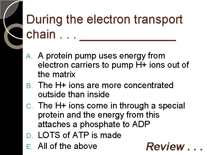 During the electron transport chain. . . _______ A. B. C. D. E. A