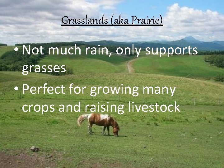 Grasslands (aka Prairie) • Not much rain, only supports grasses • Perfect for growing