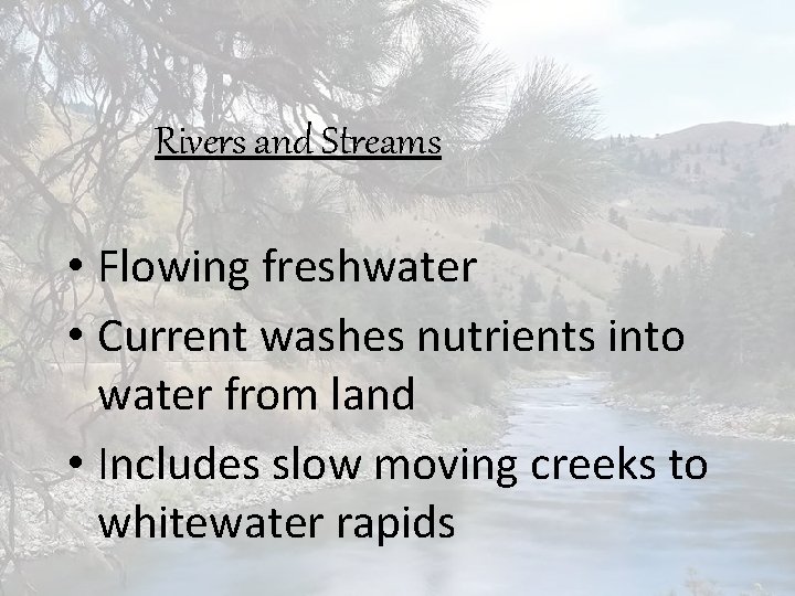 Rivers and Streams • Flowing freshwater • Current washes nutrients into water from land