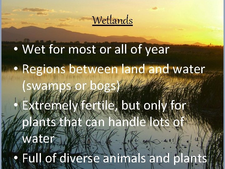 Wetlands • Wet for most or all of year • Regions between land water