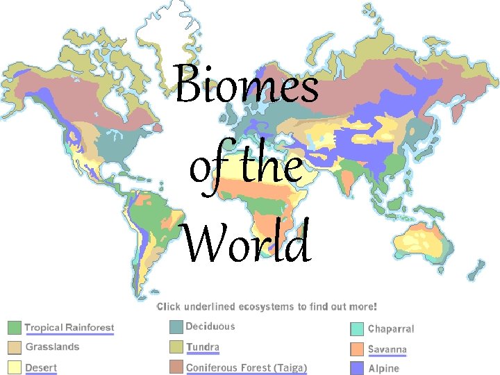 Biomes of the World 