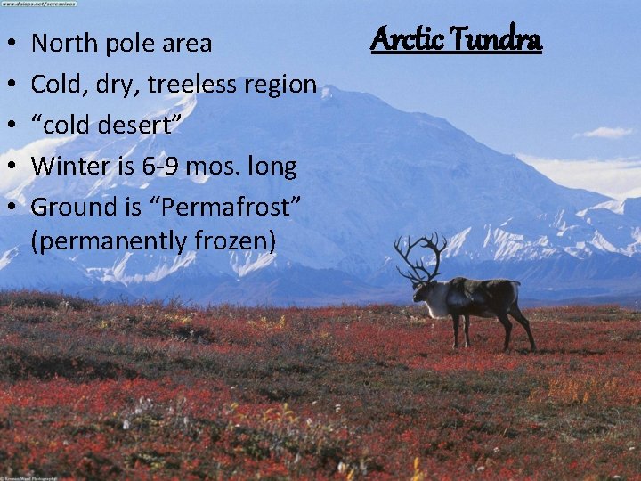  • • • North pole area Cold, dry, treeless region “cold desert” Winter