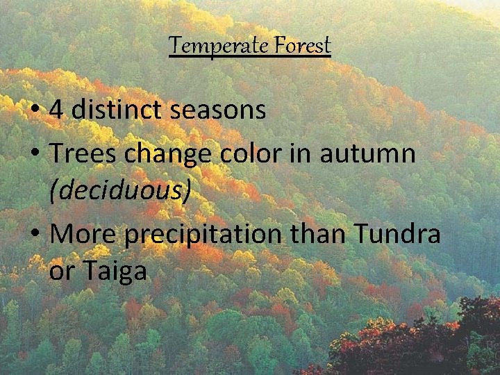 Temperate Forest • 4 distinct seasons • Trees change color in autumn (deciduous) •