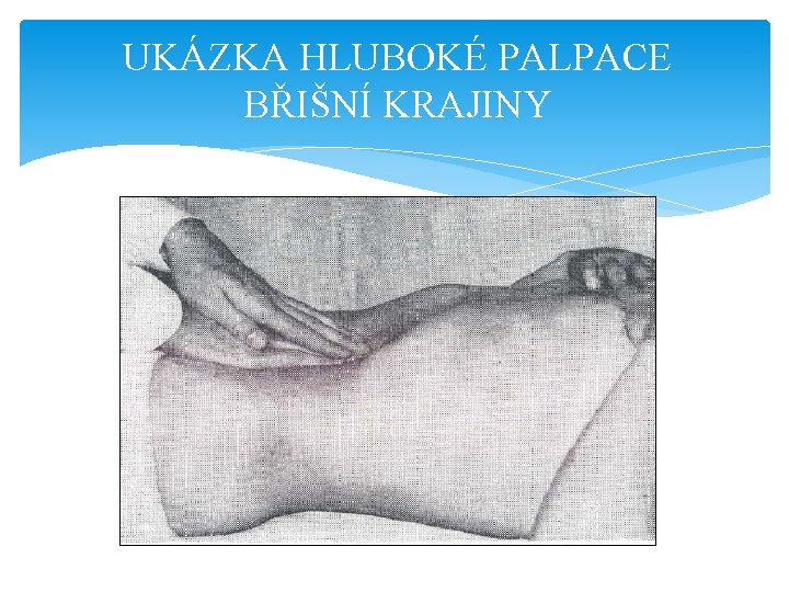 UKÁZKA HLUBOKÉ PALPACE BŘIŠNÍ KRAJINY 