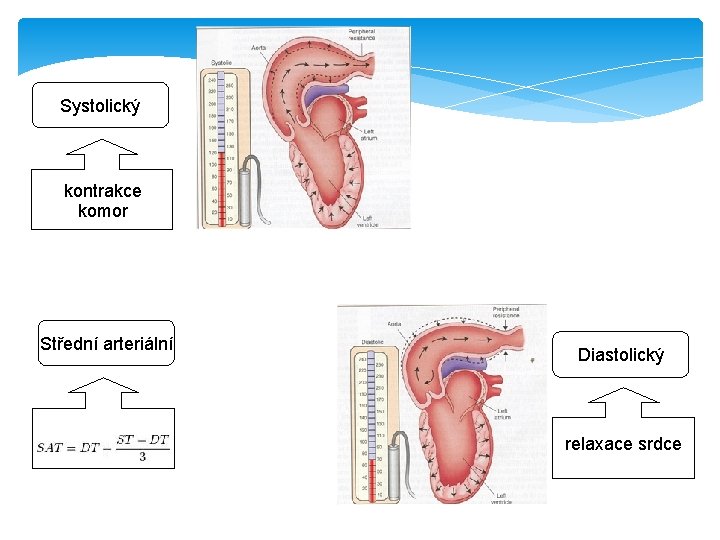 Systolický kontrakce komor Střední arteriální Diastolický relaxace srdce 