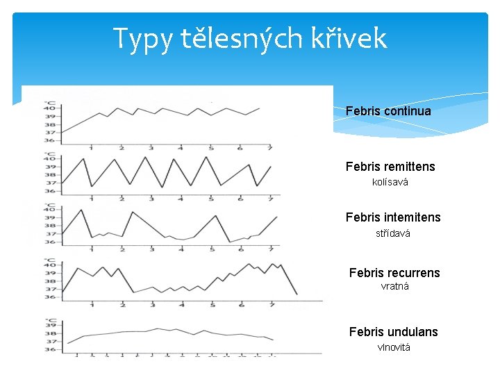 Typy tělesných křivek Febris continua Intermitentní Febris remittens kolísavá Reminetní Febris intemitens střídavá Relapsová