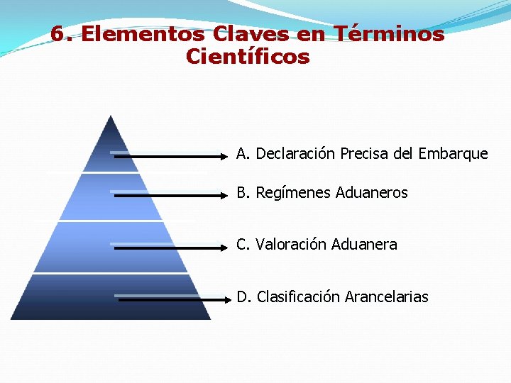 6. Elementos Claves en Términos Científicos A. Declaración Precisa del Embarque B. Regímenes Aduaneros