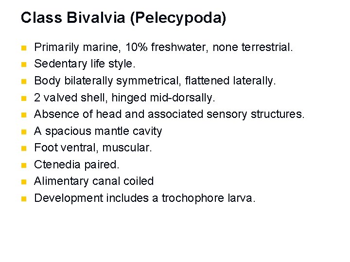 Class Bivalvia (Pelecypoda) n n n n n Primarily marine, 10% freshwater, none terrestrial.