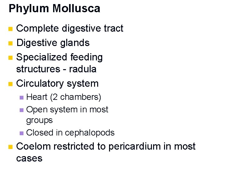 Phylum Mollusca Complete digestive tract n Digestive glands n Specialized feeding structures - radula