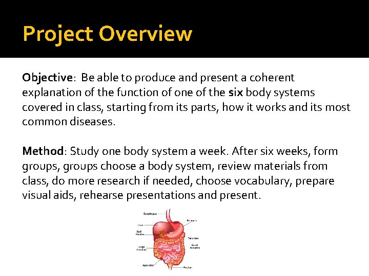 Project Overview Objective: Be able to produce and present a coherent explanation of the