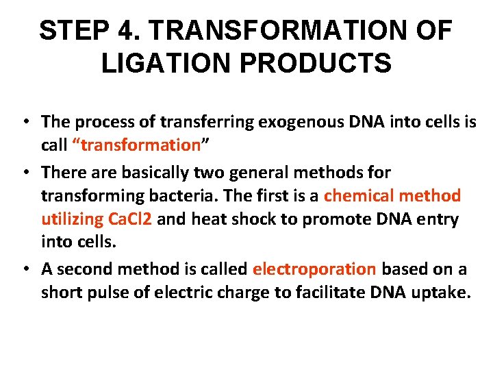 STEP 4. TRANSFORMATION OF LIGATION PRODUCTS • The process of transferring exogenous DNA into