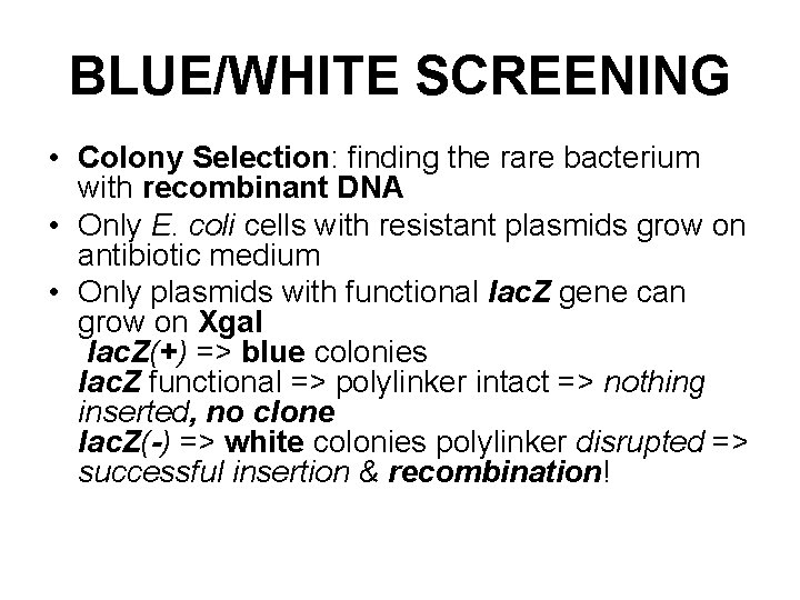 BLUE/WHITE SCREENING • Colony Selection: finding the rare bacterium with recombinant DNA • Only