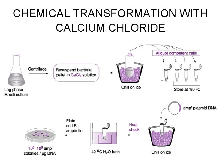 CHEMICAL TRANSFORMATION WITH CALCIUM CHLORIDE 