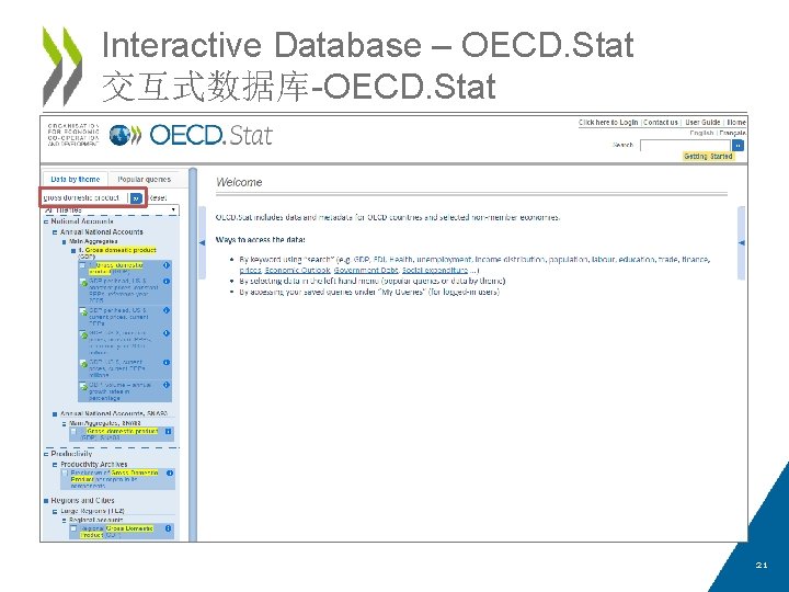 Interactive Database – OECD. Stat 交互式数据库-OECD. Stat 21 