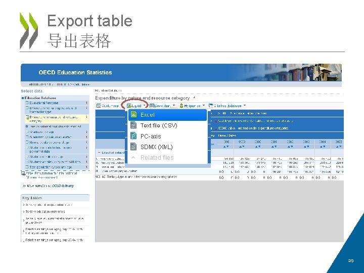 Export table 导出表格 29 