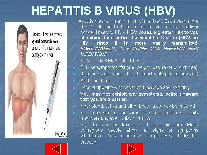 HEPATITIS B VIRUS (HBV) Hepatitis means “inflammation of the liver”. Each year, more than
