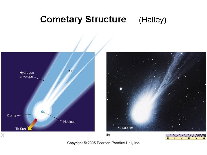 Cometary Structure (Halley) 