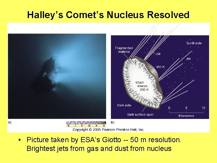 Halley’s Comet’s Nucleus Resolved • Picture taken by ESA’s Giotto -- 50 m resolution.