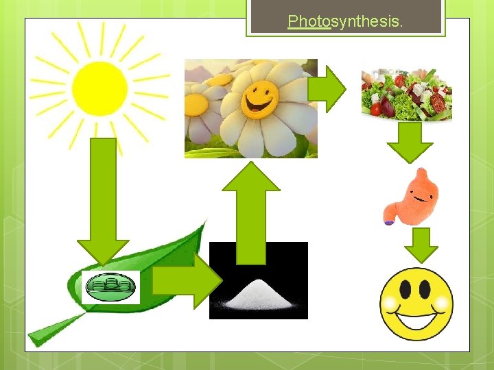 Photosynthesis. 