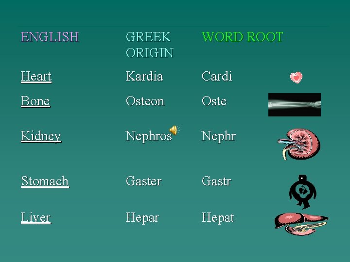 ENGLISH GREEK ORIGIN WORD ROOT Heart Kardia Cardi Bone Osteon Oste Kidney Nephros Nephr