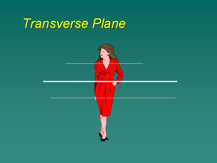 Transverse Plane 