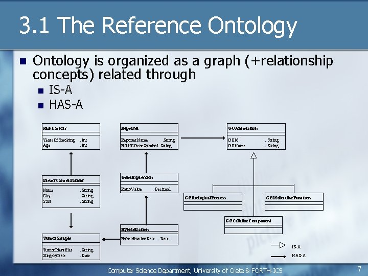 3. 1 The Reference Ontology n Ontology is organized as a graph (+relationship concepts)