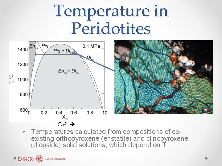 Temperature in Peridotites Ca 2+ • Temperatures calculated from compositions of coexisting orthopyroxene (enstatite)