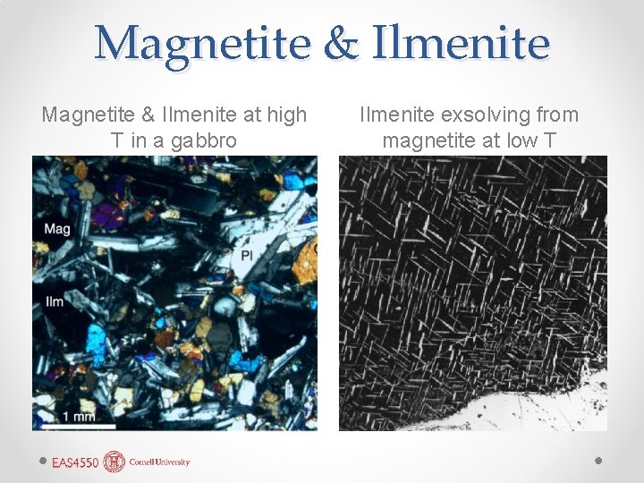 Magnetite & Ilmenite at high T in a gabbro Ilmenite exsolving from magnetite at