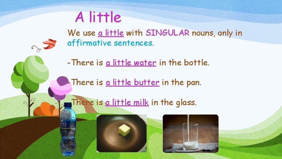 A little We use a little with SINGULAR nouns, only in affirmative sentences. -There