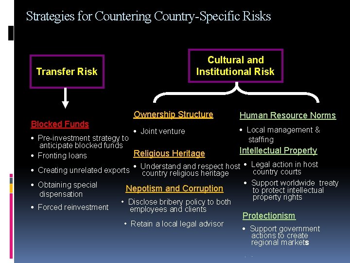 Strategies for Countering Country-Specific Risks Cultural and Institutional Risk Transfer Risk Blocked Funds Ownership