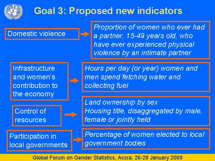 Goal 3: Proposed new indicators Domestic violence Infrastructure and women’s contribution to the economy