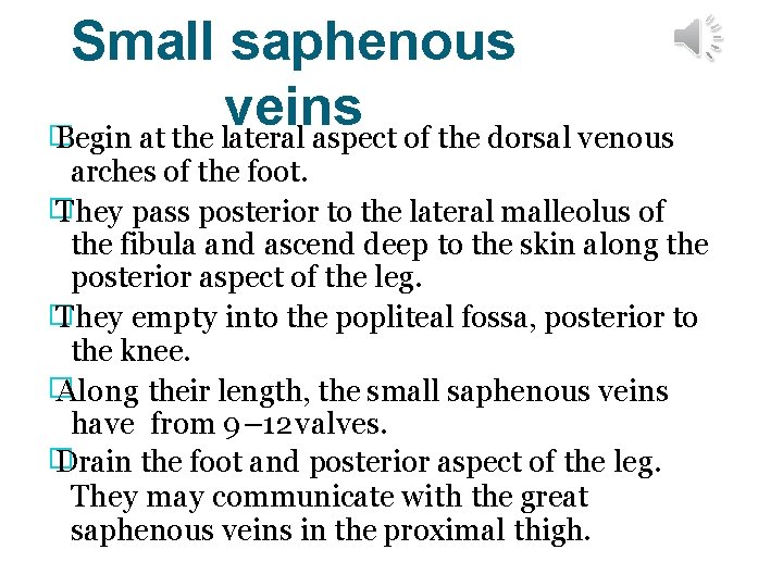 Small saphenous veins � Begin at the lateral aspect of the dorsal venous arches
