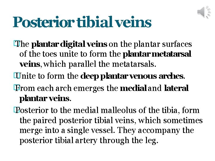 Posterior tibial veins � The plantar digital veins on the plantar surfaces of the
