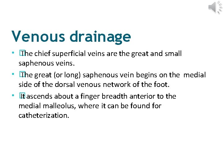 Venous drainage • � The chief superficial veins are the great and small saphenous