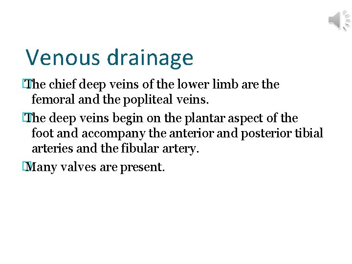 Venous drainage � The chief deep veins of the lower limb are the femoral