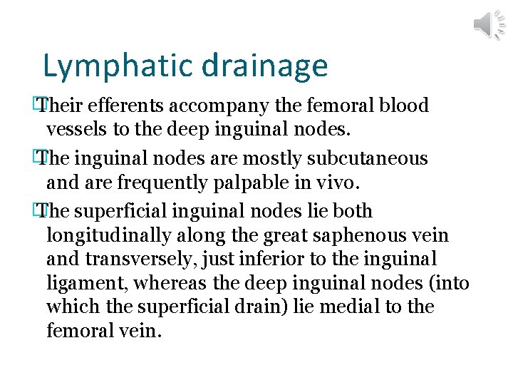 Lymphatic drainage � Their efferents accompany the femoral blood vessels to the deep inguinal
