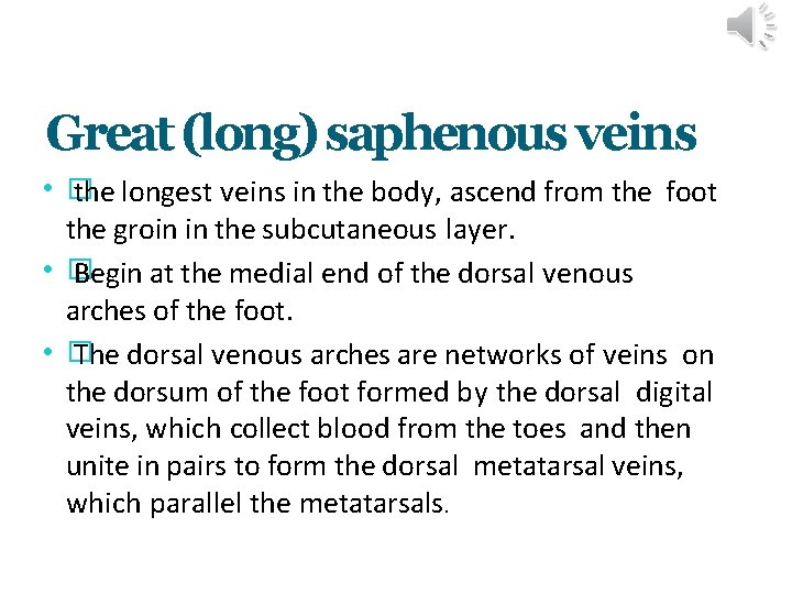 Great (long) saphenous veins • � the longest veins in the body, ascend from