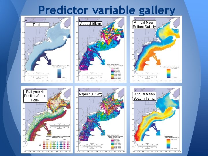 Predictor variable gallery Depth Bathymetric Position/Slope Index Aspect (5 km) Annual Mean Bottom Salinity